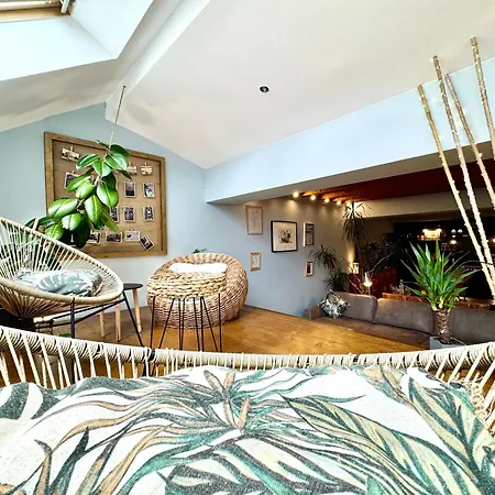 Old טימישוארה