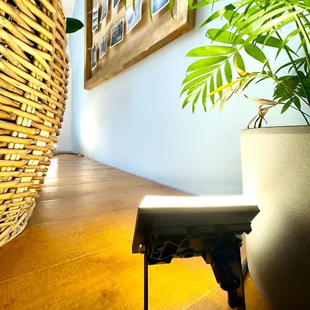 Appartement Old Timişoara